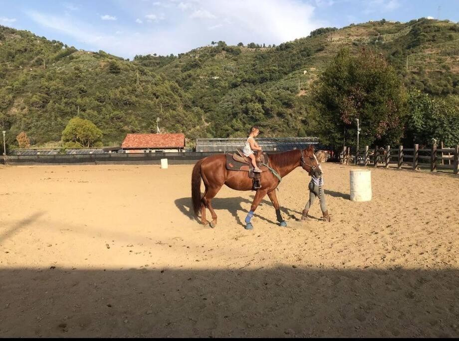 La Stalla, Casa Rustica Nel Ranch Di Cavalli 캄포로소 외부 사진